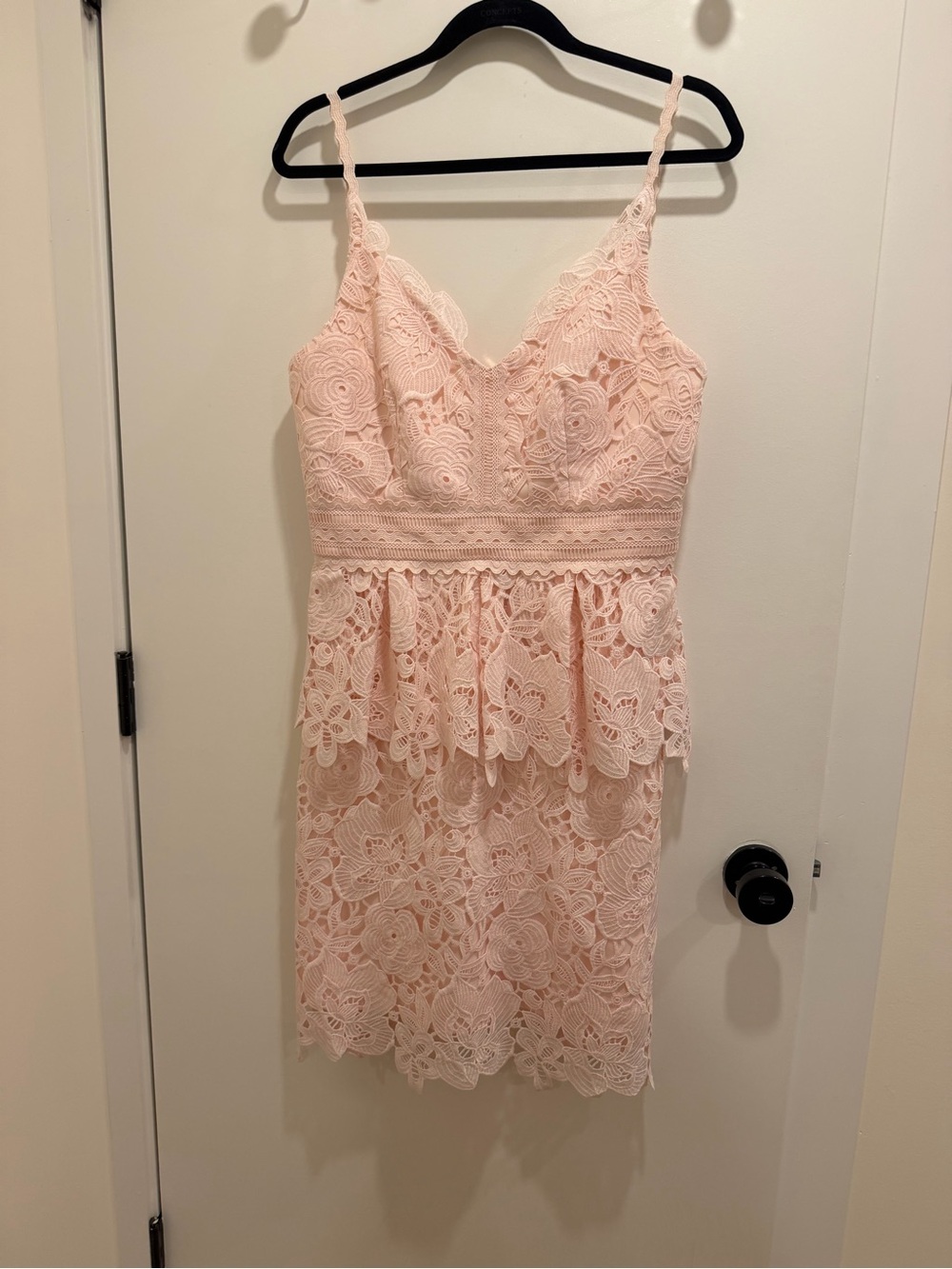 Ted Baker London Pale Blush Lace Dress with Spaghetti Straps